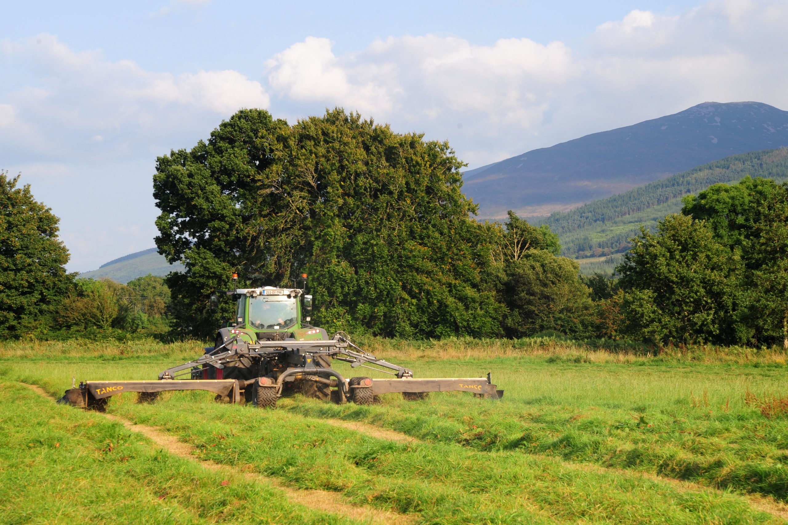Smooth progress in the shadow of the Knockmealdown Mountains
