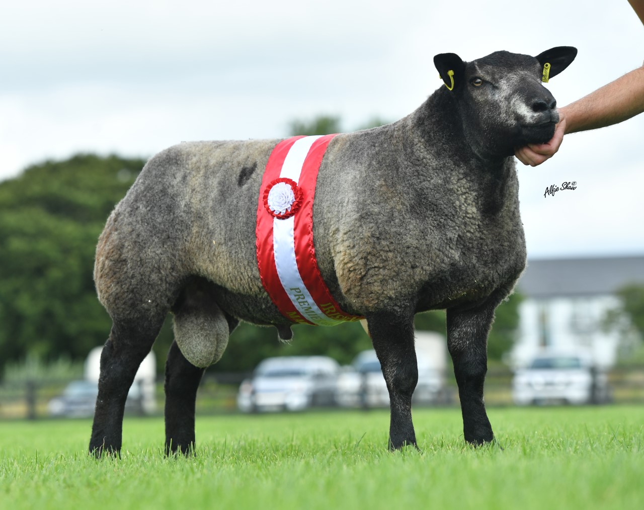 Male champion. Image source: Alfie Shaw