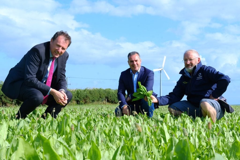Minister McConalogue., Carbery CEO Jason Hawkins and John McNamara of Teagasc take a look at the multi species swards at Shinagh