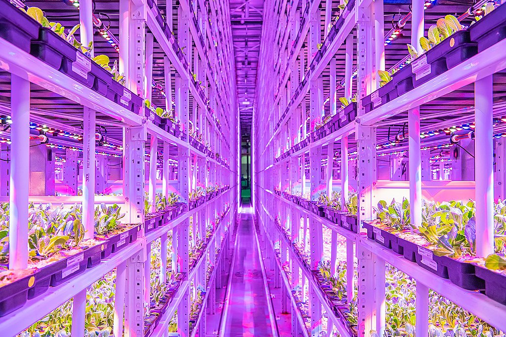 Russia is also exploring the concept of vertical farming. Image: Government of Moscow