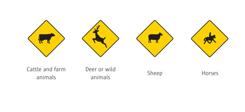 Source: Road Safety Authority