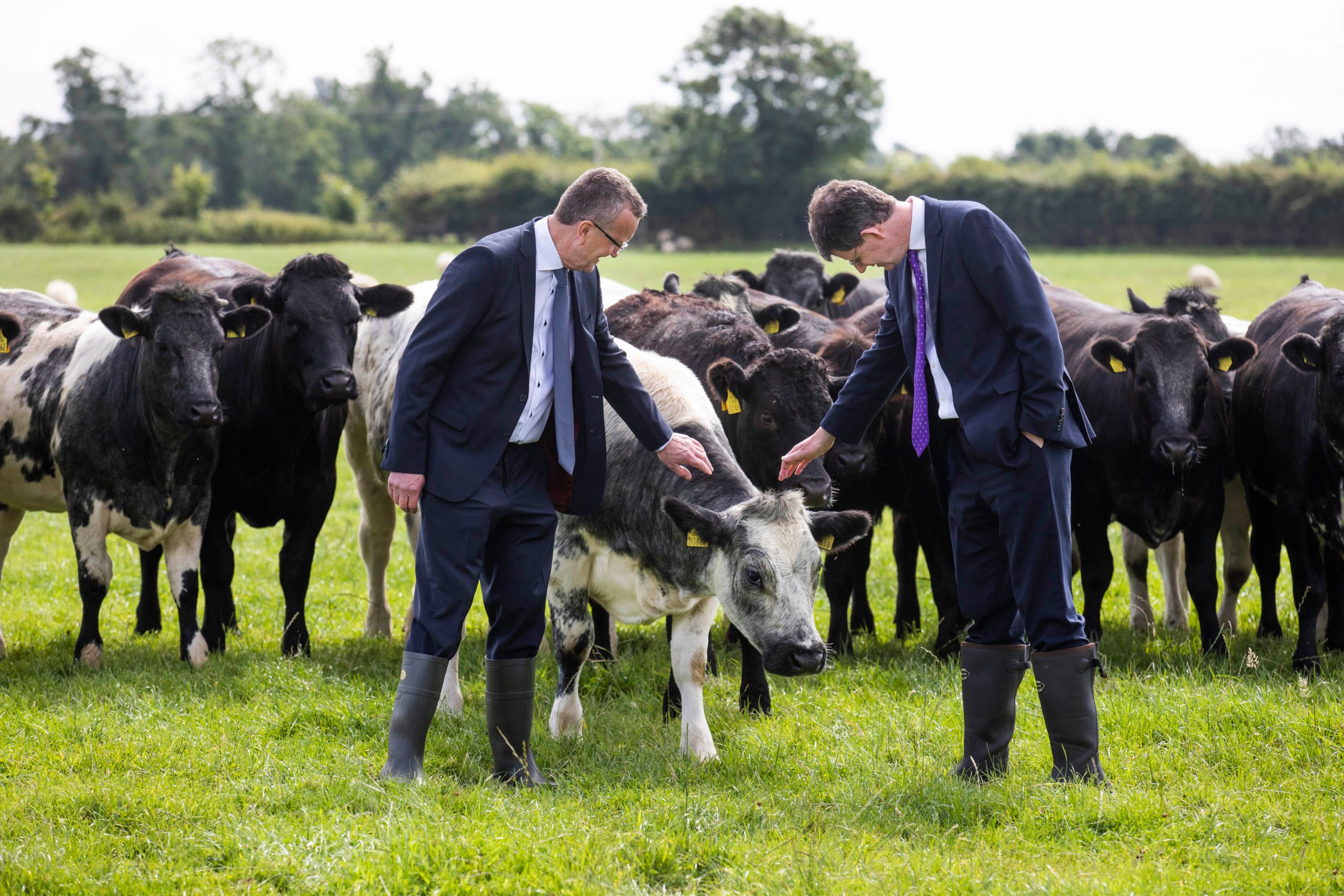 IFA president,Tim Cullinan hosted the British ambassador, Paul Johnston, on the farm of Ronan Delany, a mixed dry-stock enterprise in Dunshaughlin, Co. Meath. Picture: Finbarr O’Rourke