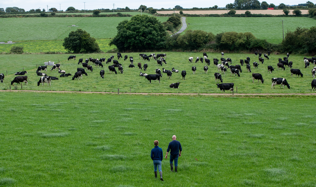 The Banville farm