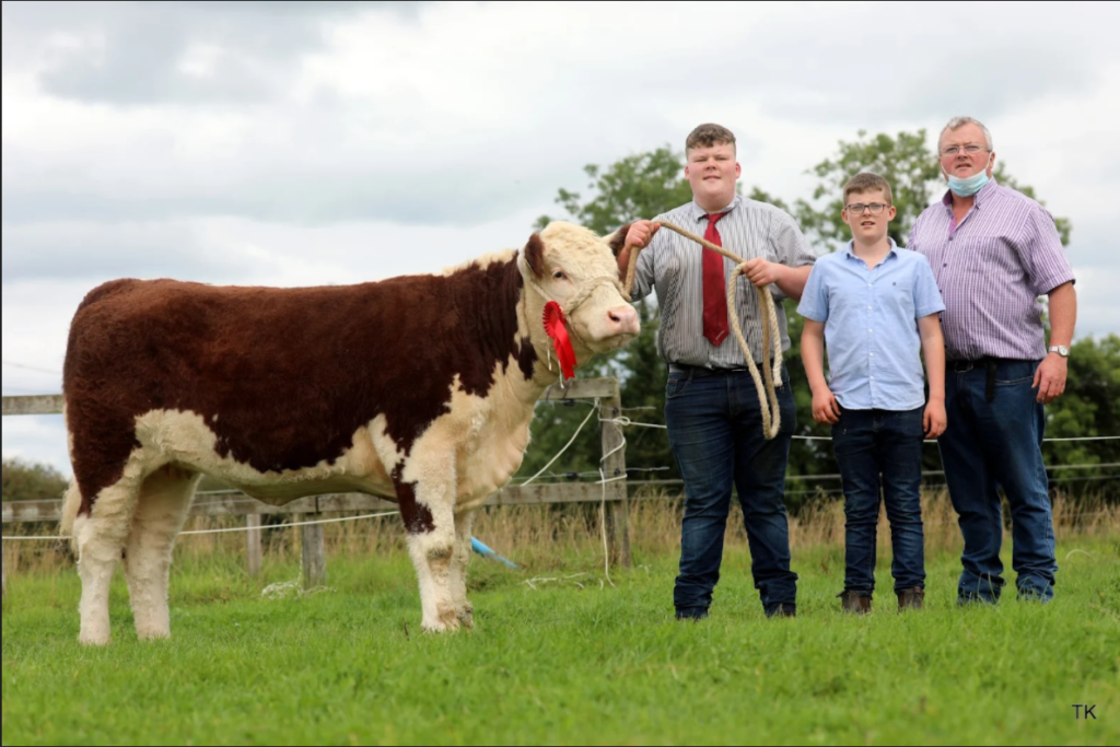 January-June 2020-born heifer winner