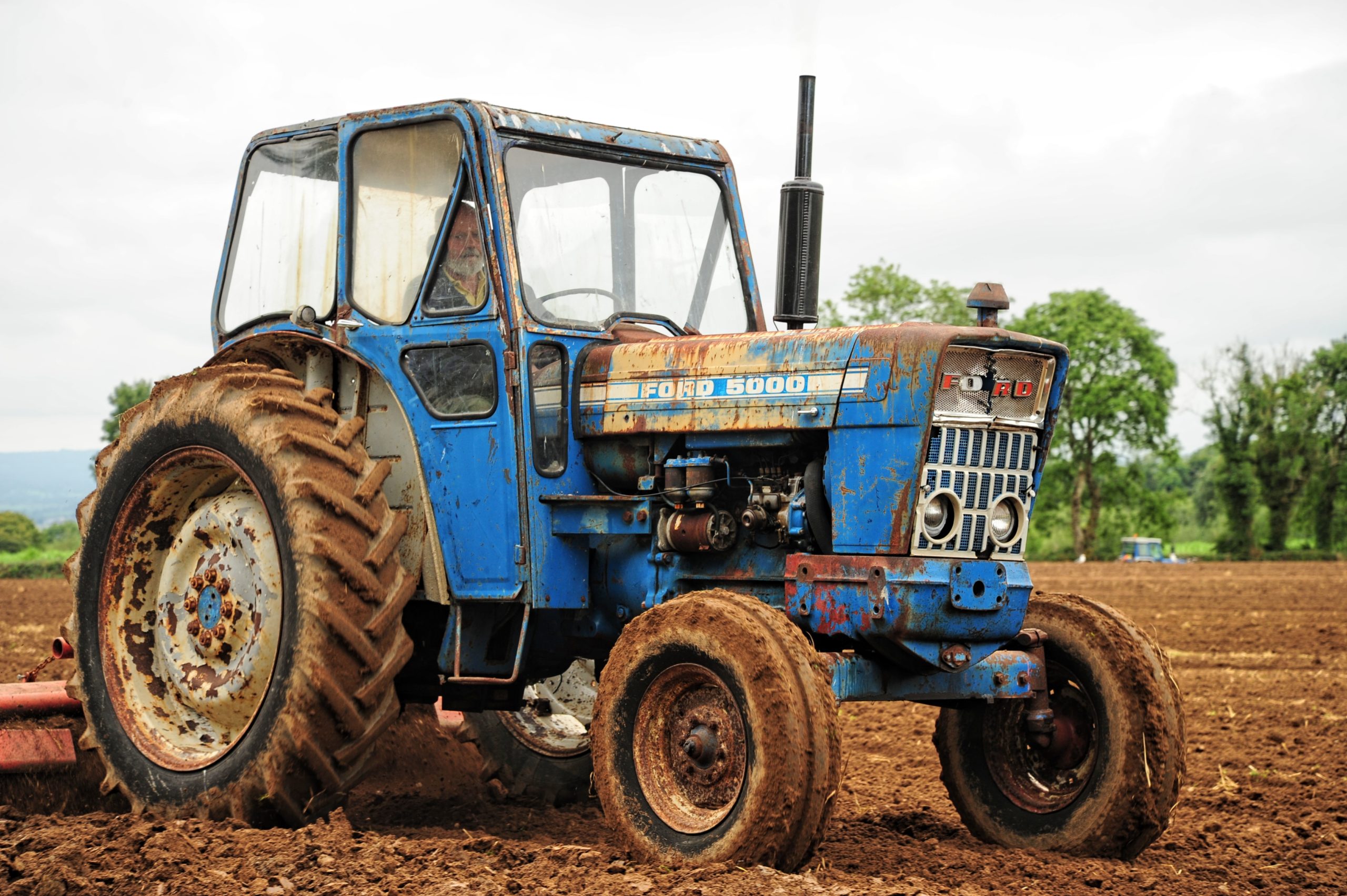 Still working in her original trim, this Ford 5000 exemplifies while they were so popular