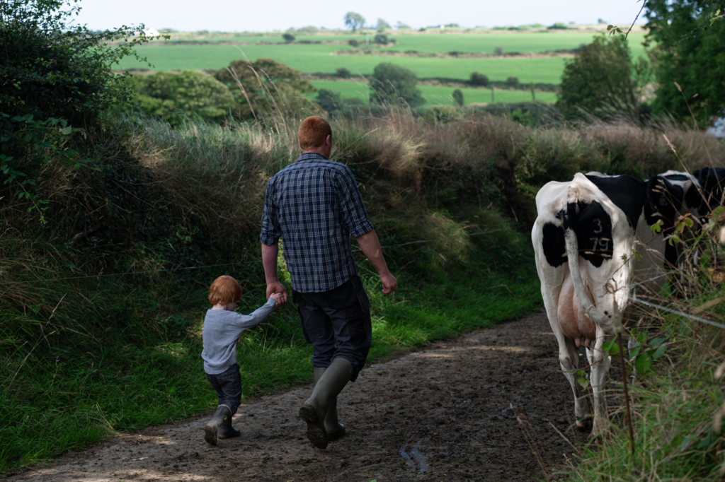Tadhg Hurley and son Charlie driving in the cows