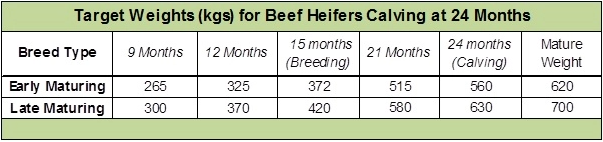 Source: ICBF