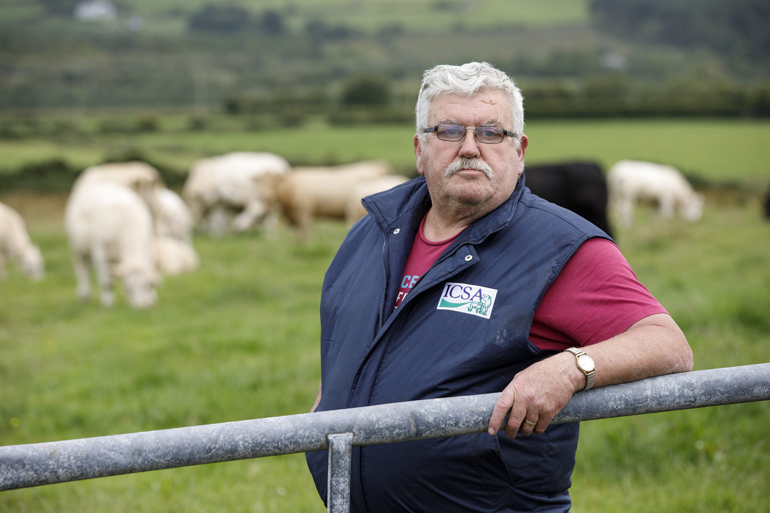 Dermot Kelleher, ICSA president. Image: Donal O'Leary