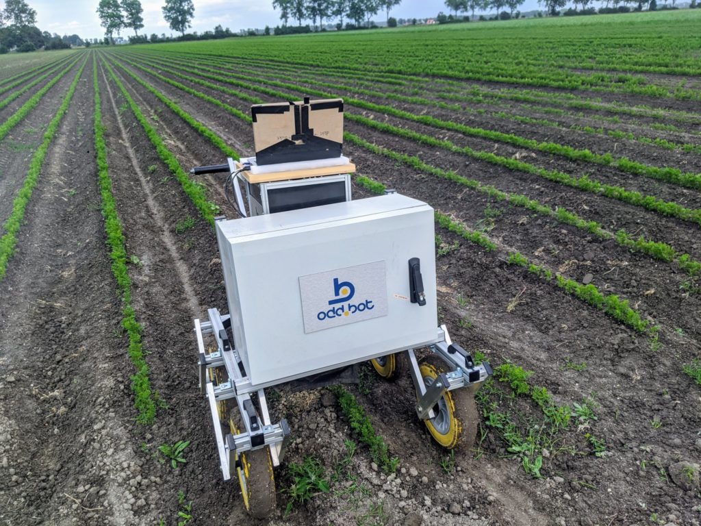 Image source: Odd.bot