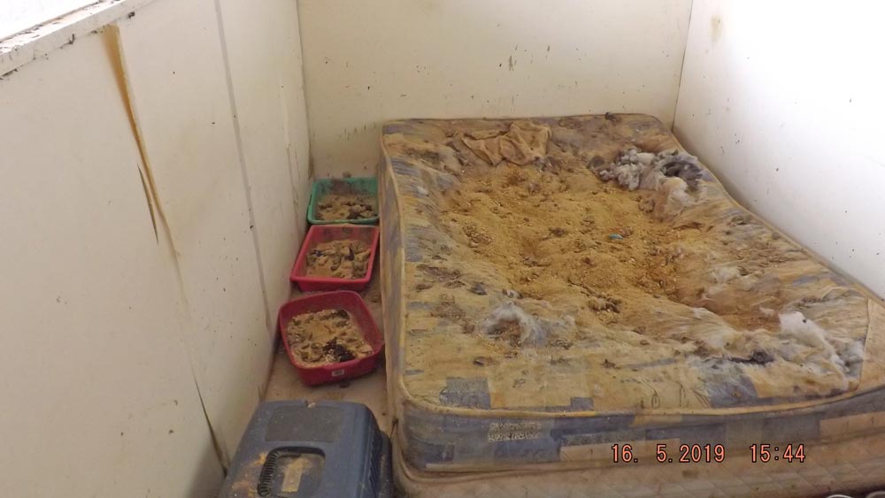 Image source RSPCA