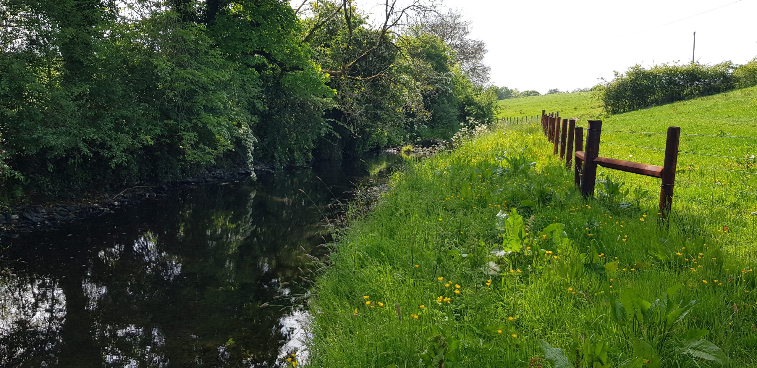 A smart buffer zone, designed to slow down or capture nutrient run-off in the catchment of White Lough, drinking water source for Stranooden GWS in Co. Monaghan