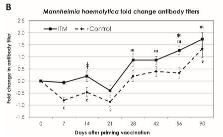 Figure 1: Mannheimia haemolytica antibody titres following vaccination in cattle supplemented with injectable trace minerals and those without. Source: Bittar et al., 2017