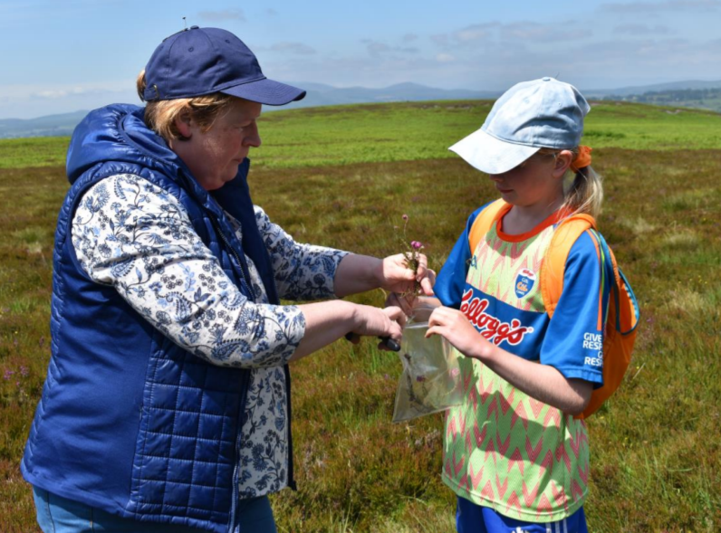 Norma and Claire Beresford collecting plant samples on Coumarglin for analysis by Natpro