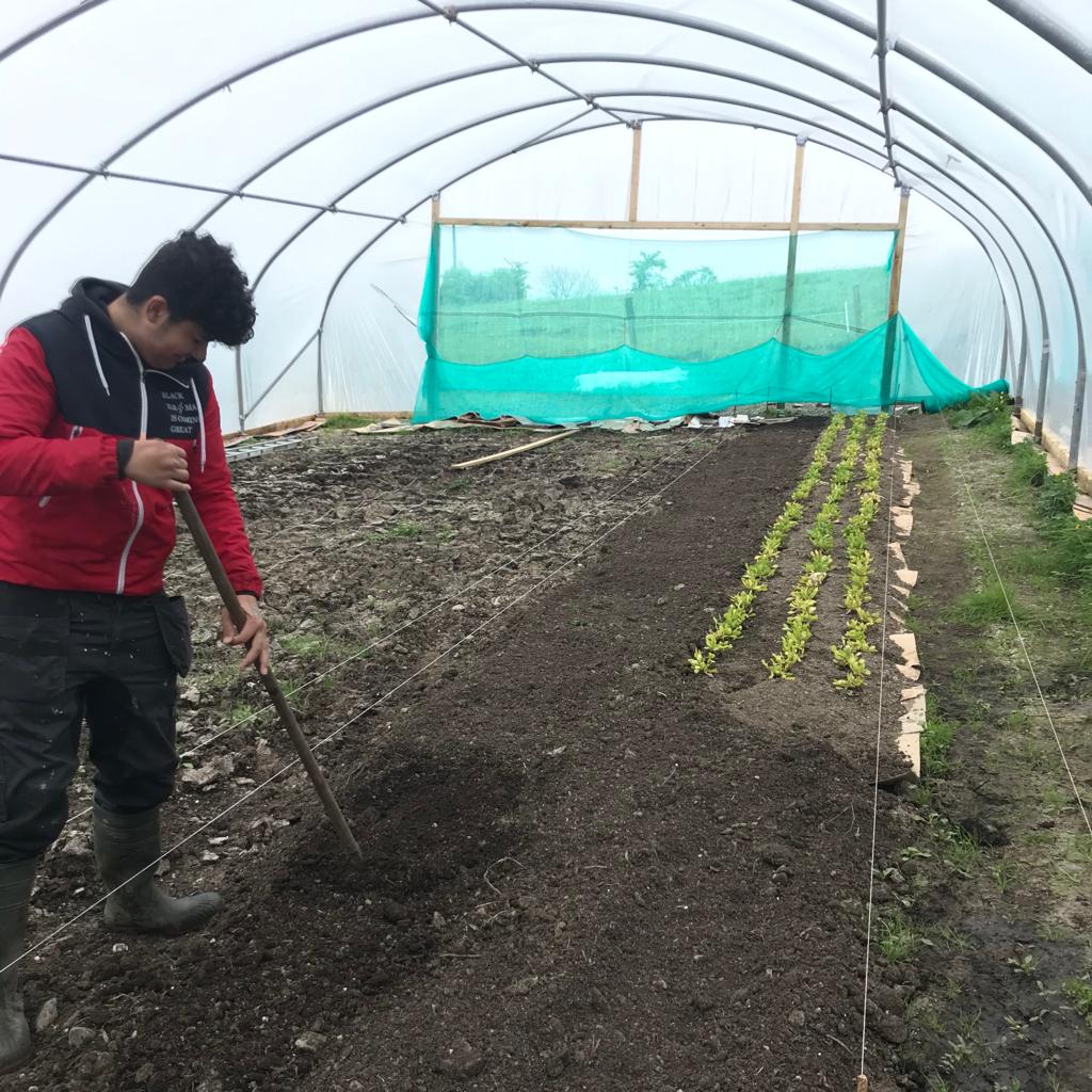 Ahmad at work