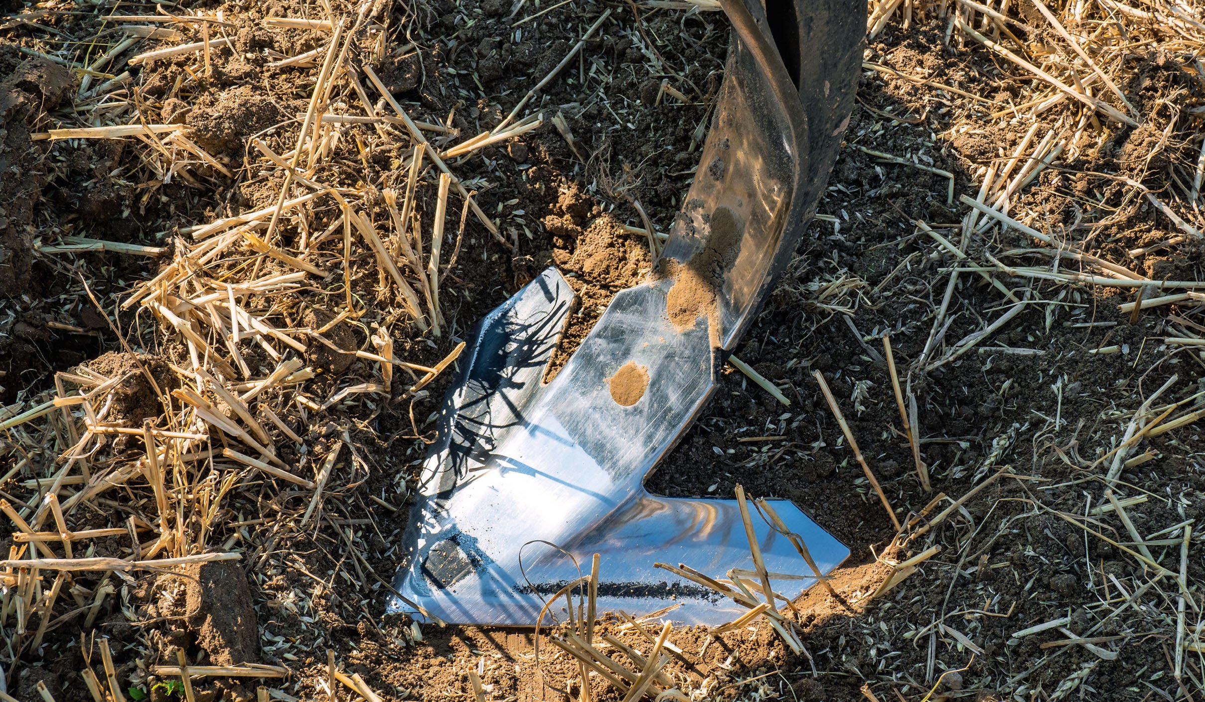 The Duckfoot share slices seedlings just below the soil surface