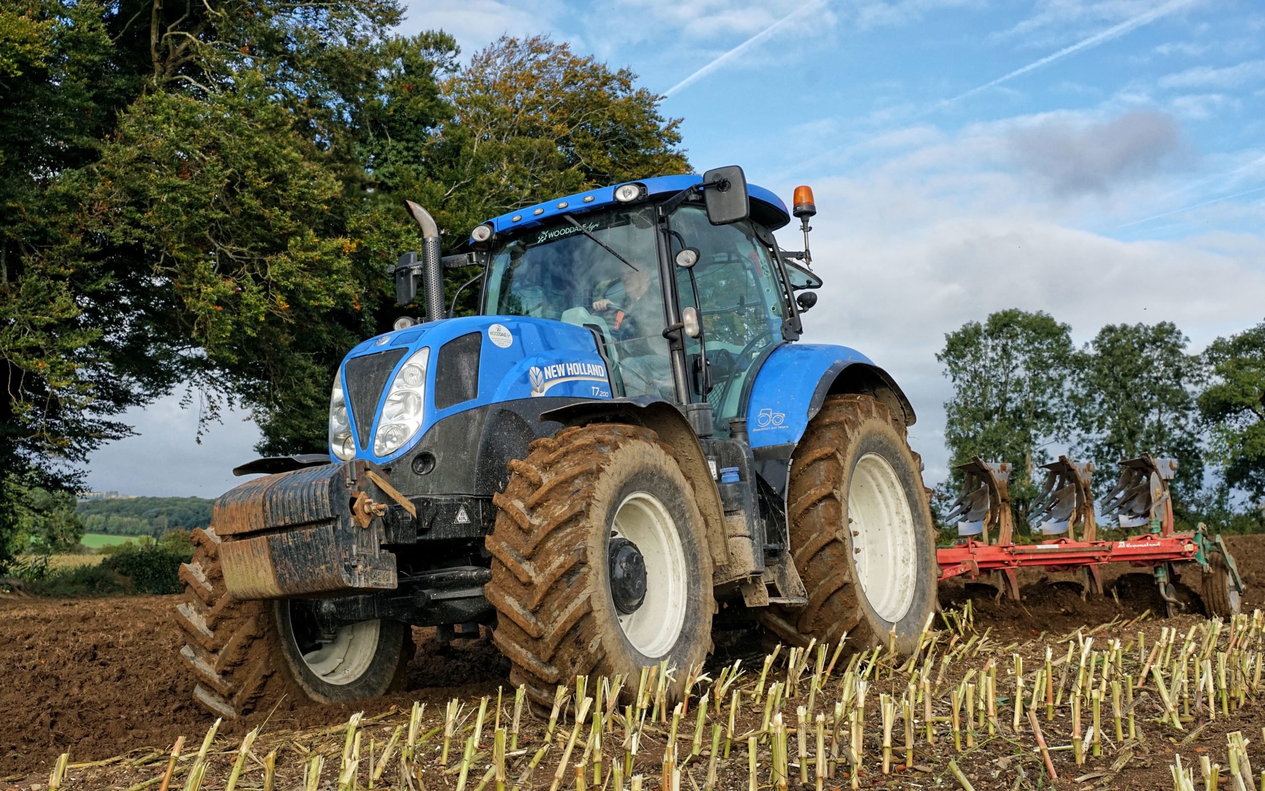 The maize stubble is ploughed in ready for a following winter wheat crop