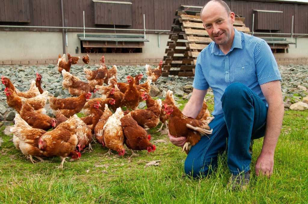 Graeme Boden, egg producer from Newmills, Co.Tyrone. Photo: Liam McArdle