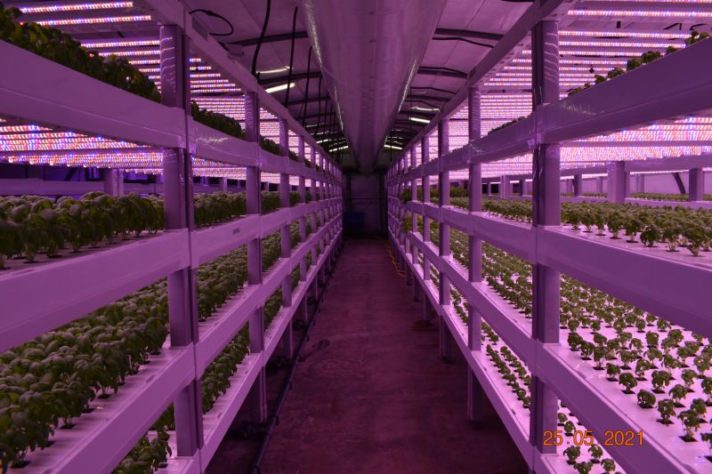 Farming at Emerald Greens