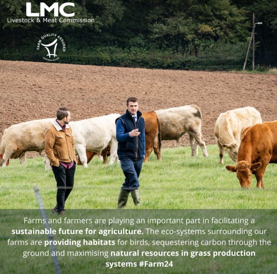 Some LMC promotion Source: LMC Twitter