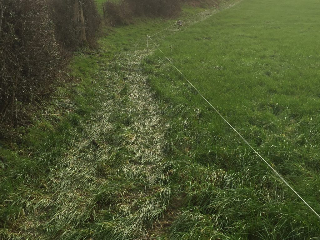 A spur roadway set up tight to a ditch to limit poaching