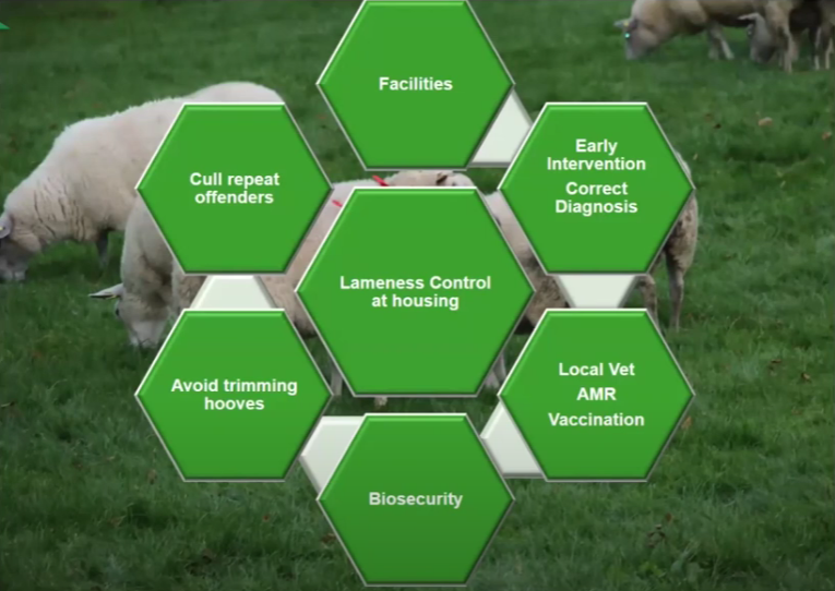 Source: Teagasc