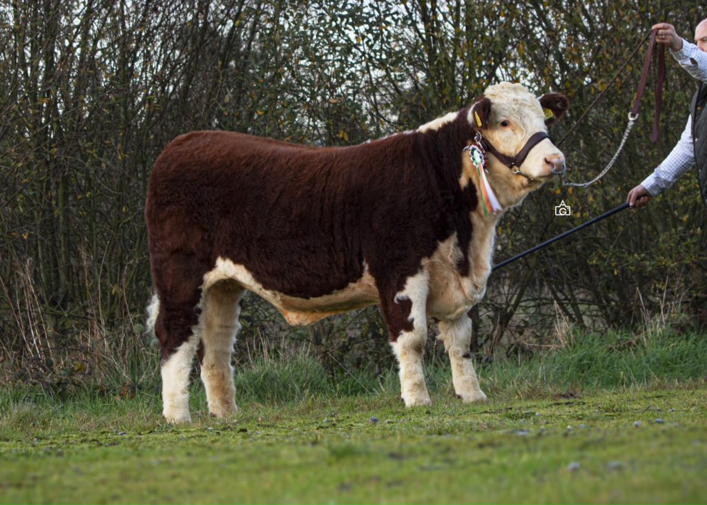 Lot 7: Moyclare Rose 49 sold for €5,000