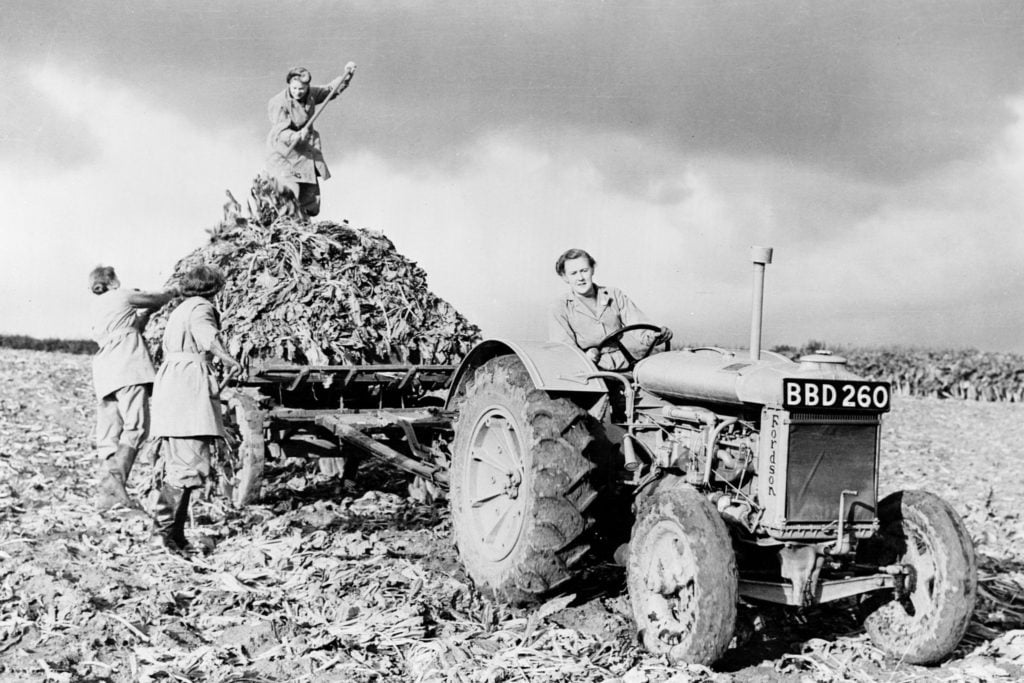 The Fordson once more came to the rescue during wartime. These British Land Army girls are bringing beet in from the fields, 1944