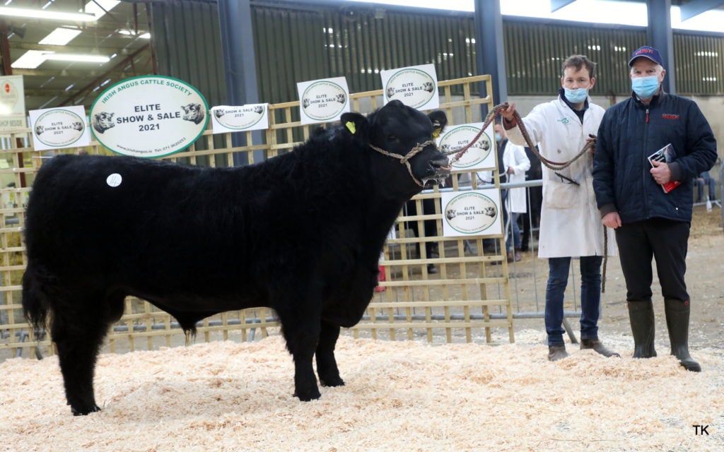 Drumcrow Twenty Twenty