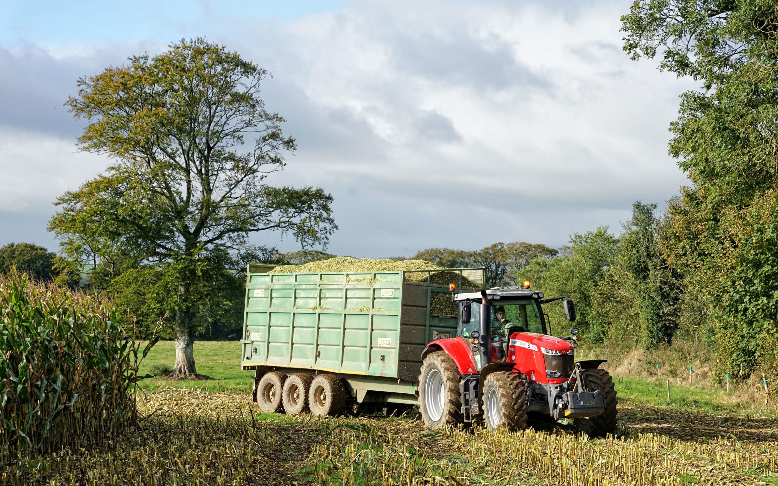 Traffic planning on vulnerable soils can help avoid damage to their structure