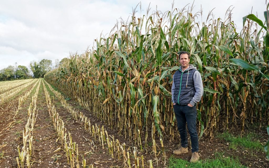 Pottinger always has some news for the press, as well as coffee and user friendly staff. Here Paul Wilson shows off a crop of maize sown with the company's duplex drill