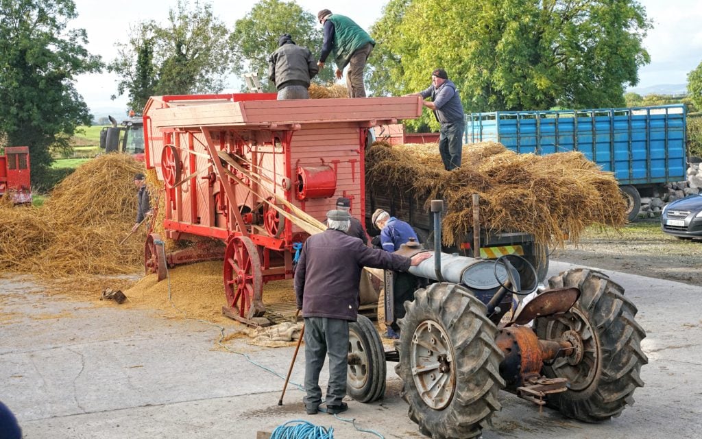 Threshing oats in the late autumn sunshine at Littleton in Tipperary. While the men work at the machine, an older fellow looks on, we can only guess at the memories this scene stirs within him
