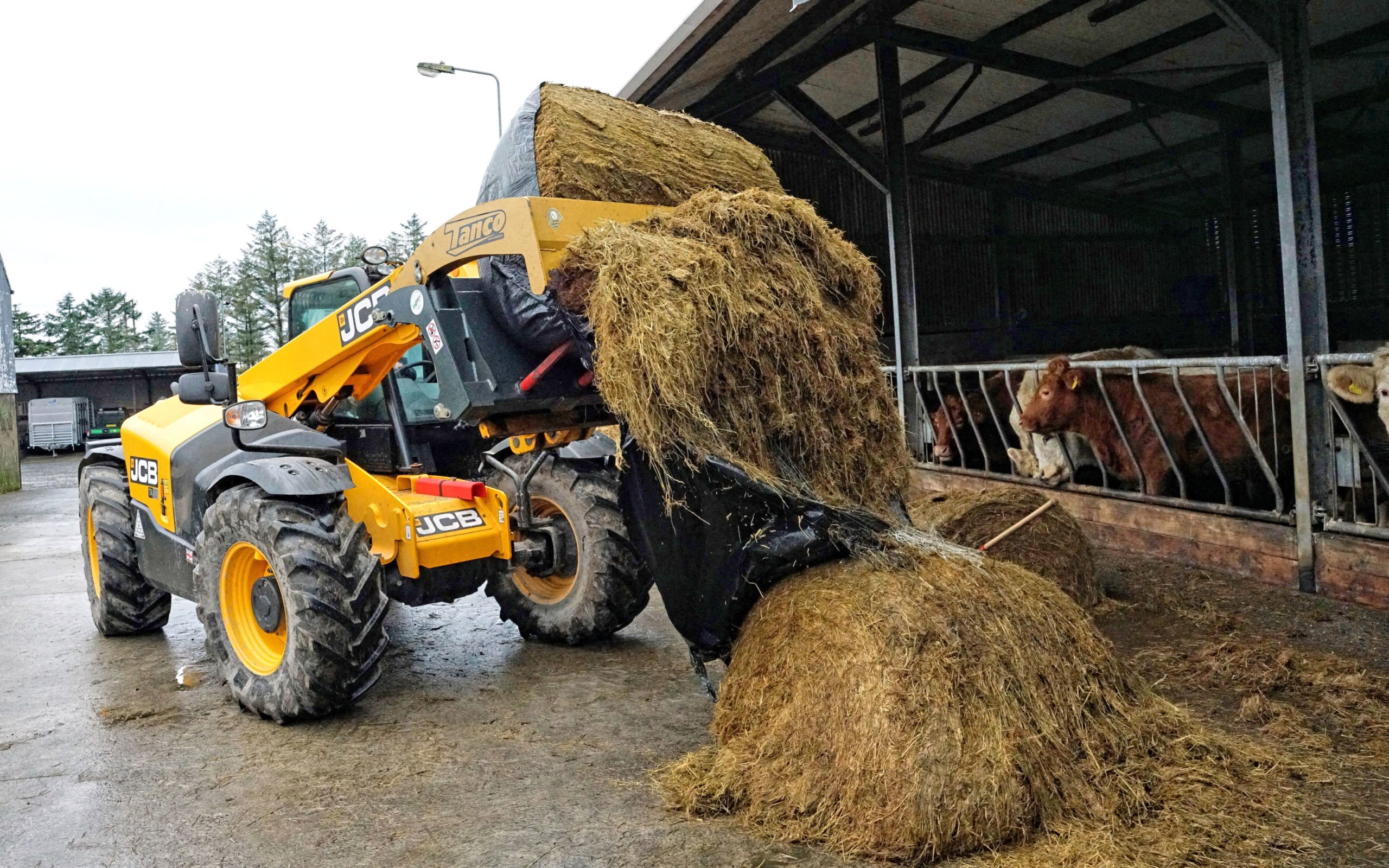 The Tanco Silage Shear effortlessly cuts the bale and separates the plastic and netting from the silage