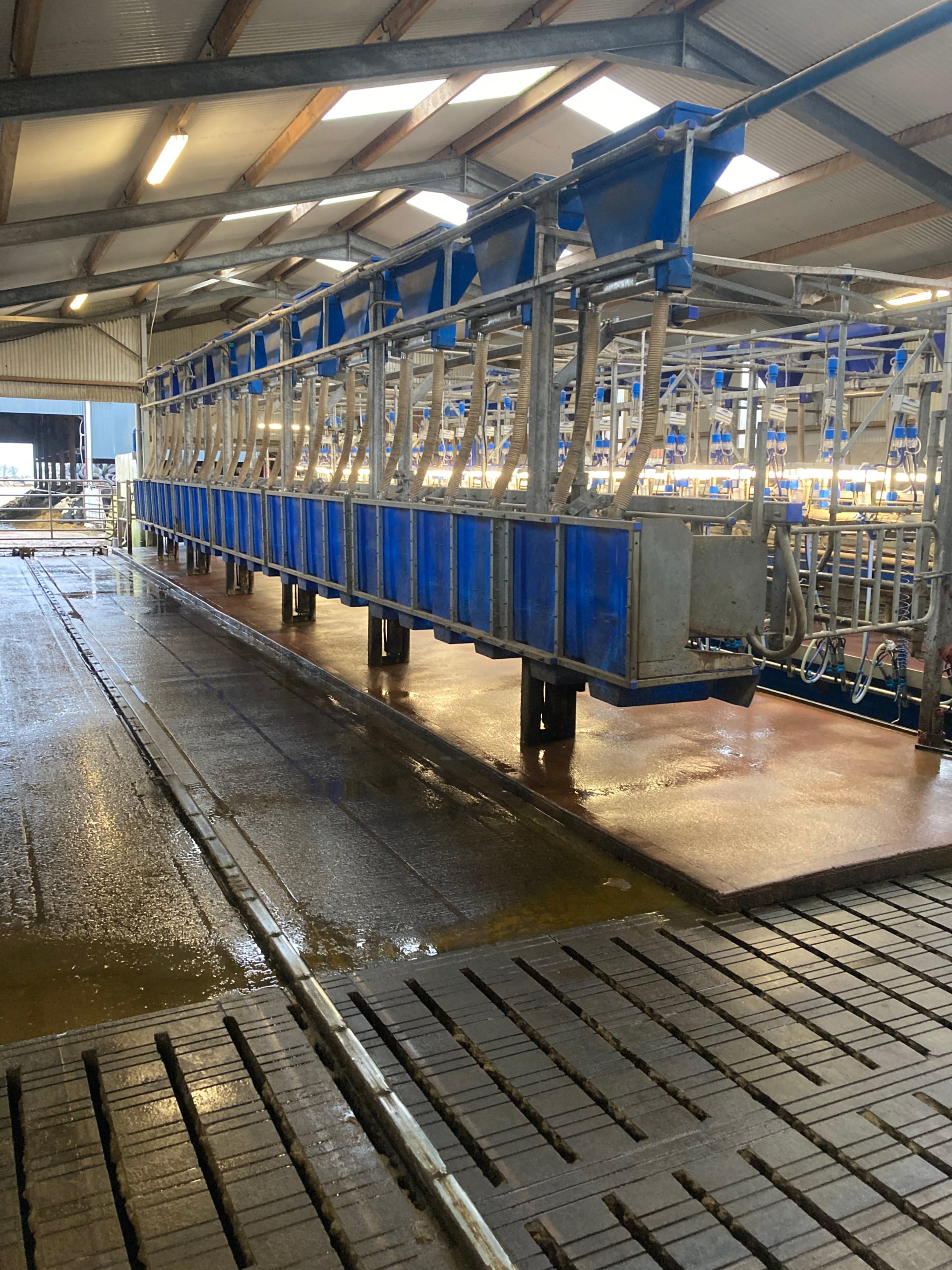 John's Dairymaster Fast Exit milking parlour