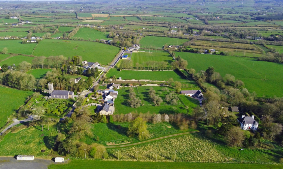 Arabella, Ballymacelligott. Picture: Patrick Griffin