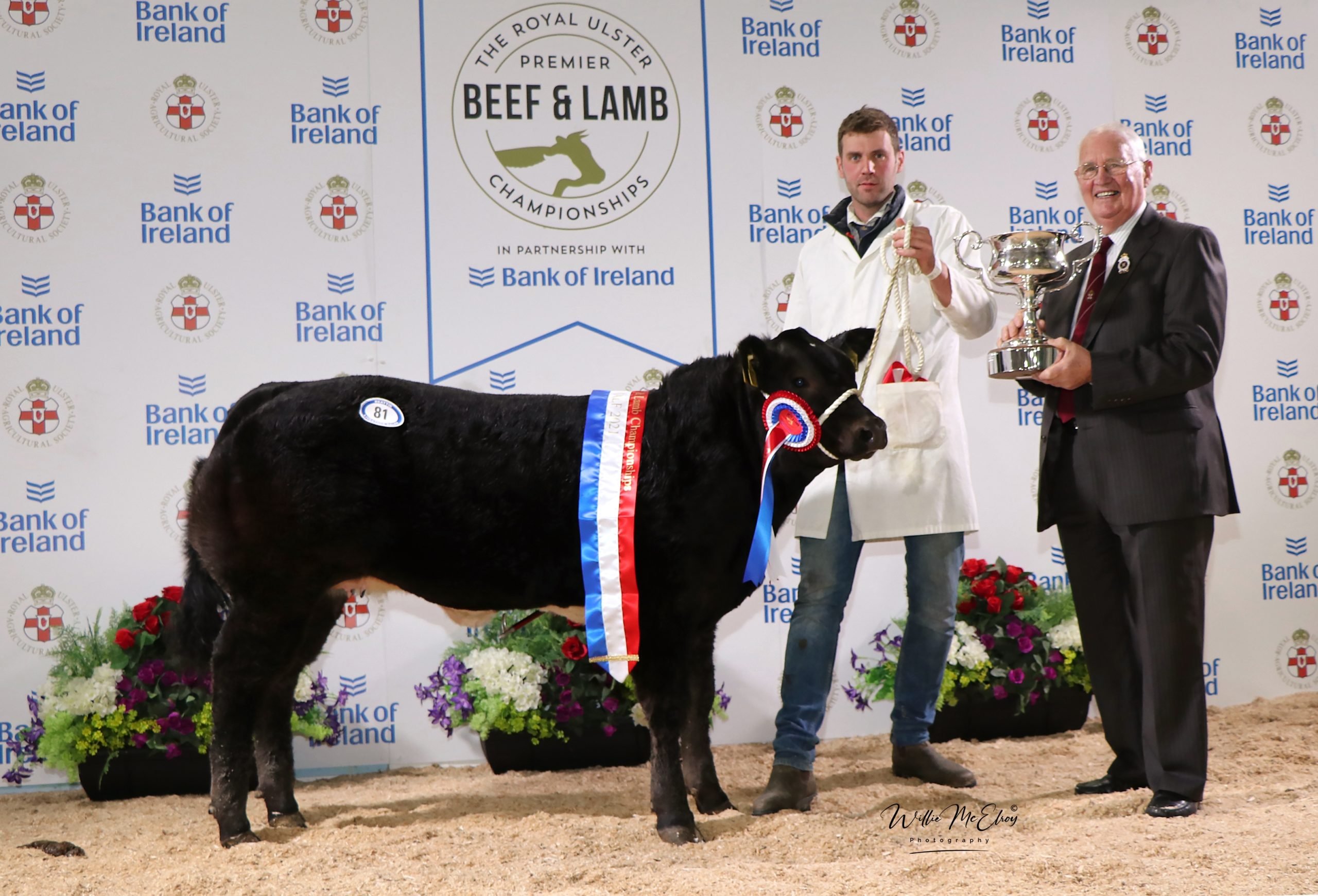 Champion Calf at the RUAS Beef and Lamb Championships 2021
