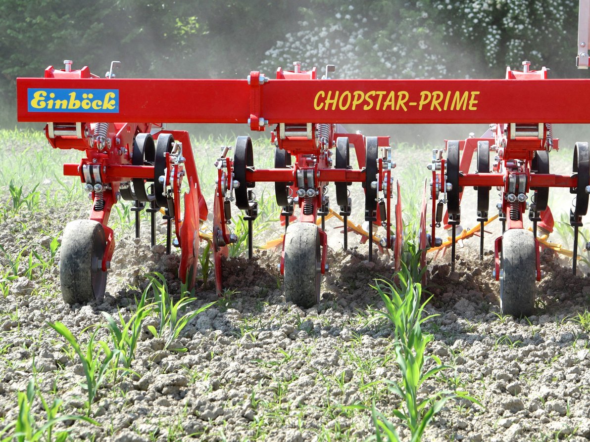 The new Chopstar prime worming between rows
