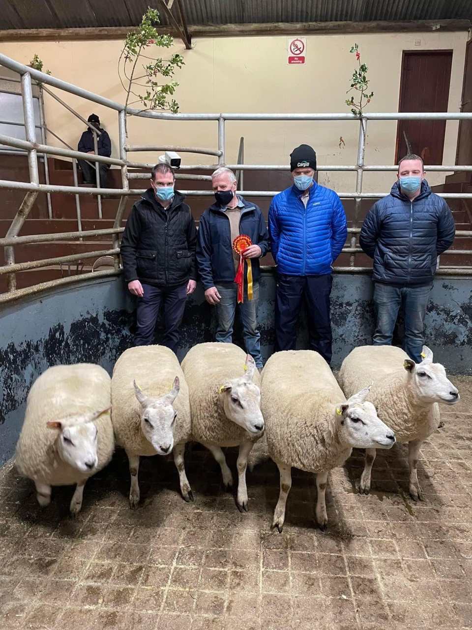 Supreme champions of the show and sale