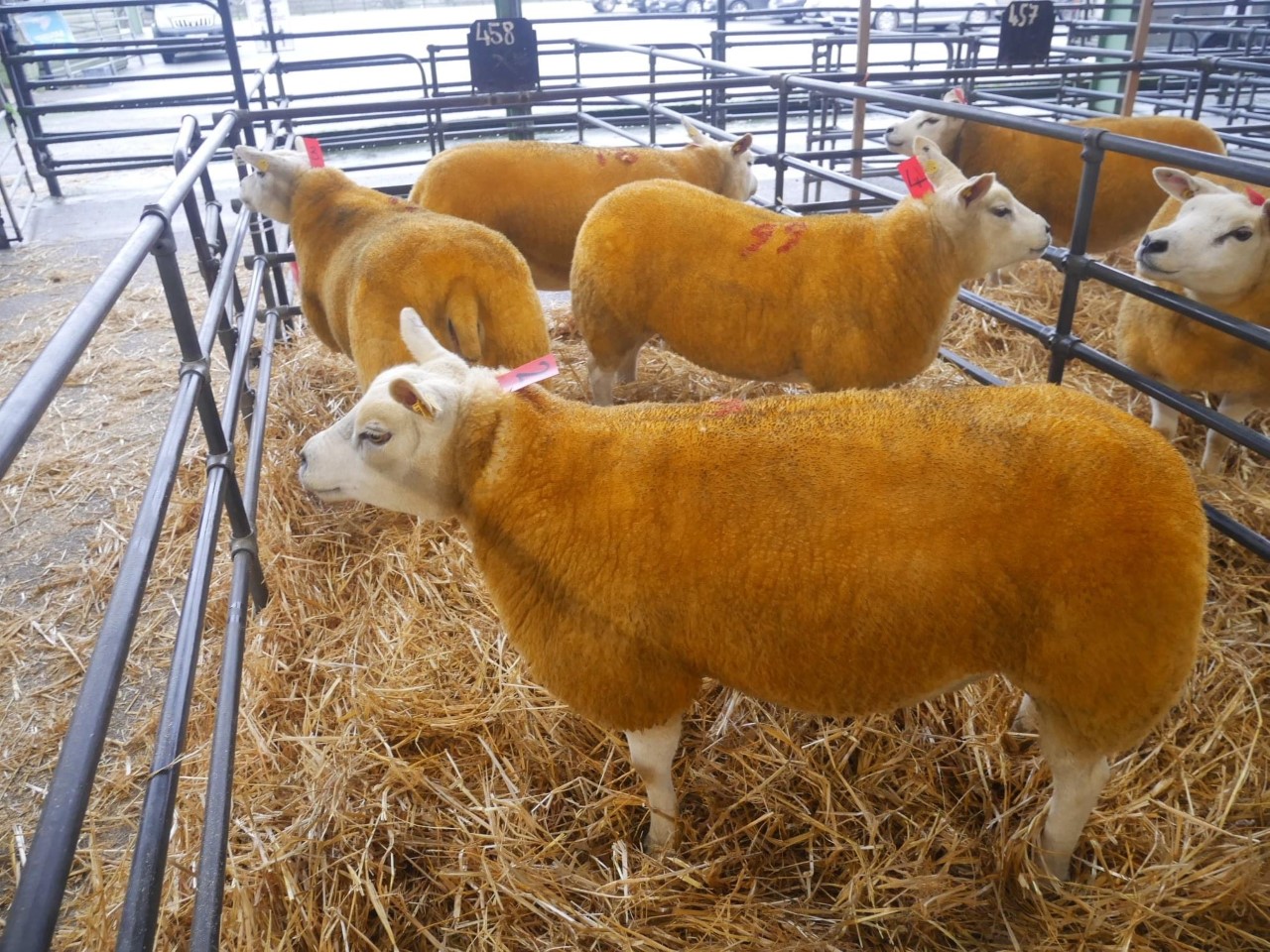 Image source: Blessington Mart