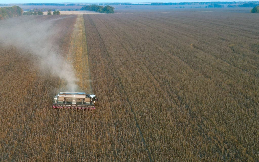 The semi-permanent tracks of the gantry system can be seen in the crop running parallel to the harvester