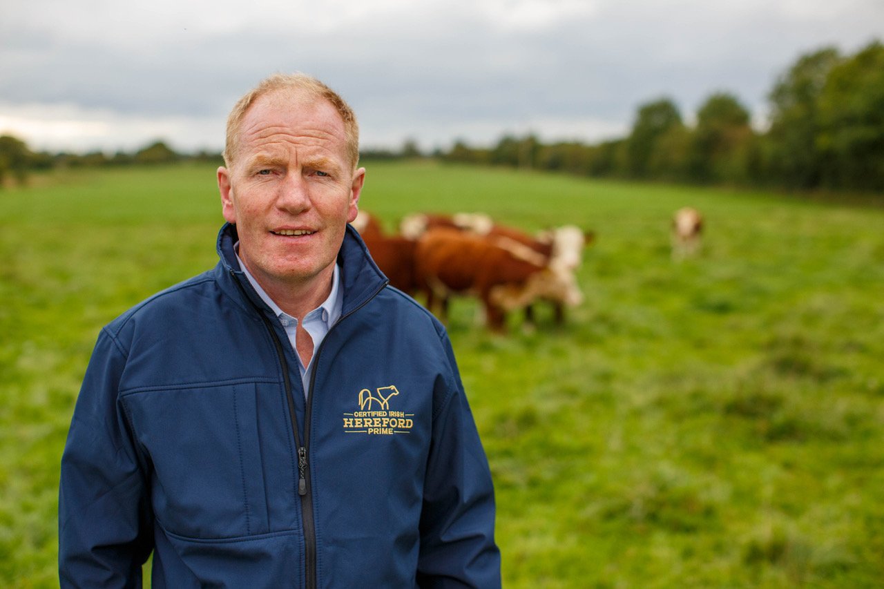 Niall O'Mahony, chairperson, Irish Hereford Prime
