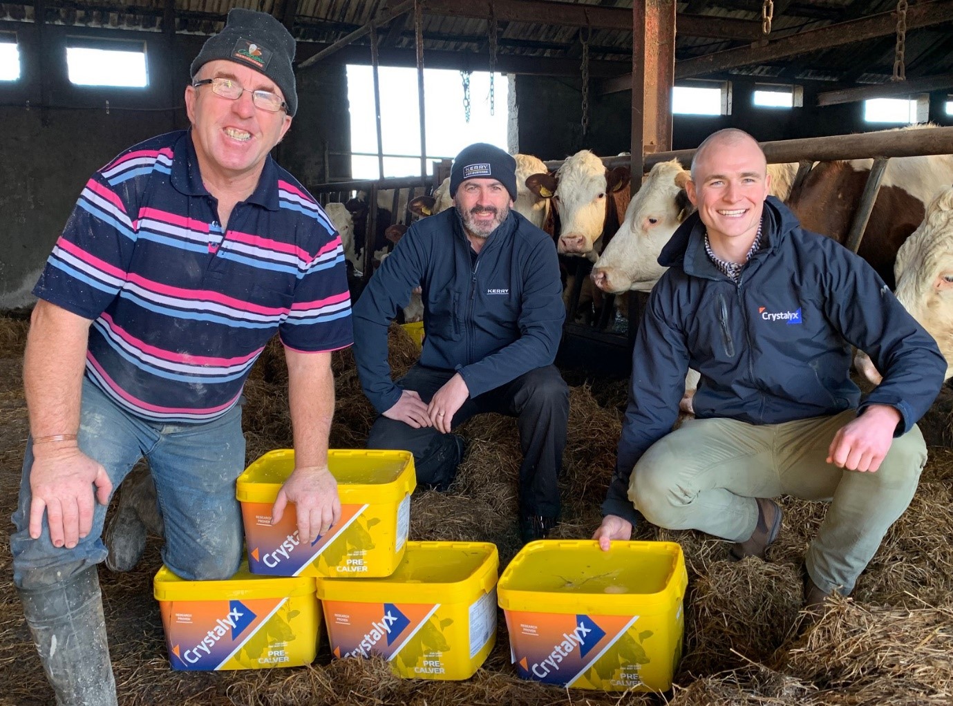 Gerard Donoghue, Montbeliarde breeder, Valentia , Island, Co. Kerry supplementing his herd with Crystalyx Pre-Calver. Accompanied by Darcy O’Connell, store manager Kerry Agribusiness, Cahersiveen, Co. Kerry and Luke Morgan, Caltech Crystalyx