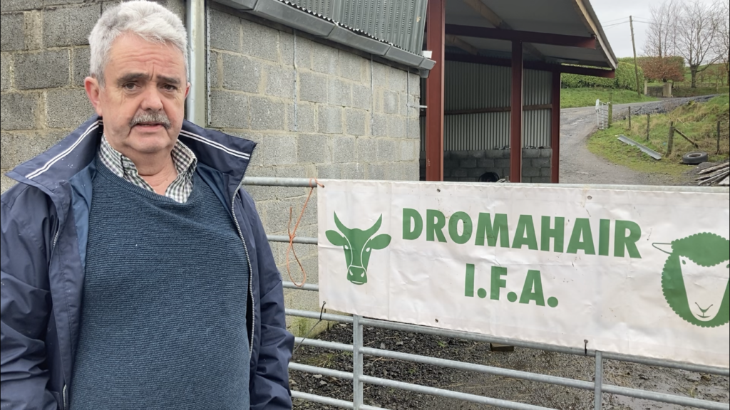 IFA Sheep chair, Kevin Comiskey