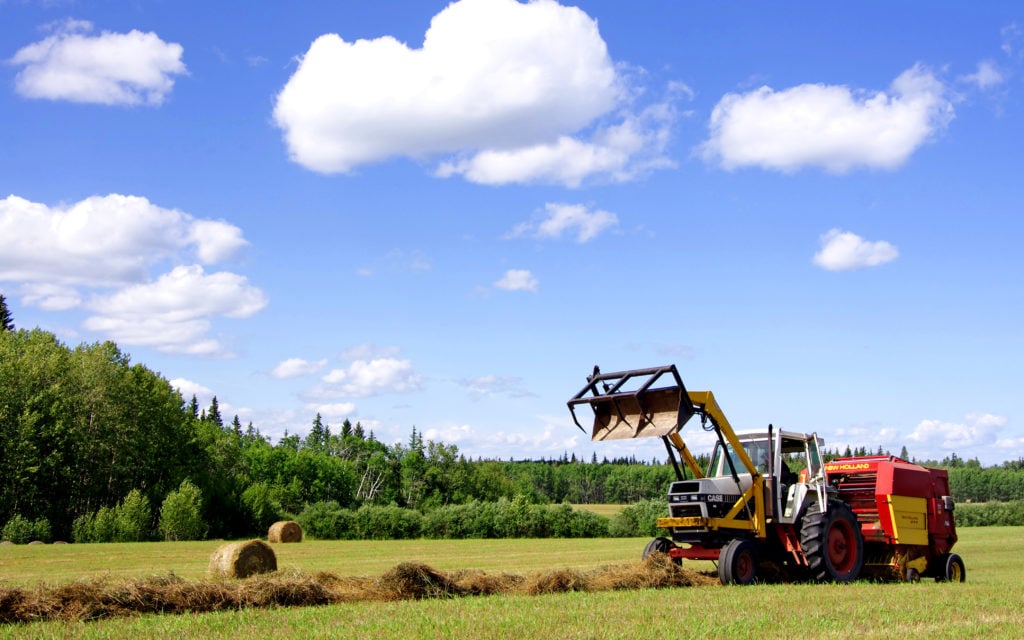 Daniel Massey was instrumental in clearing Canadian forests to make way for farming