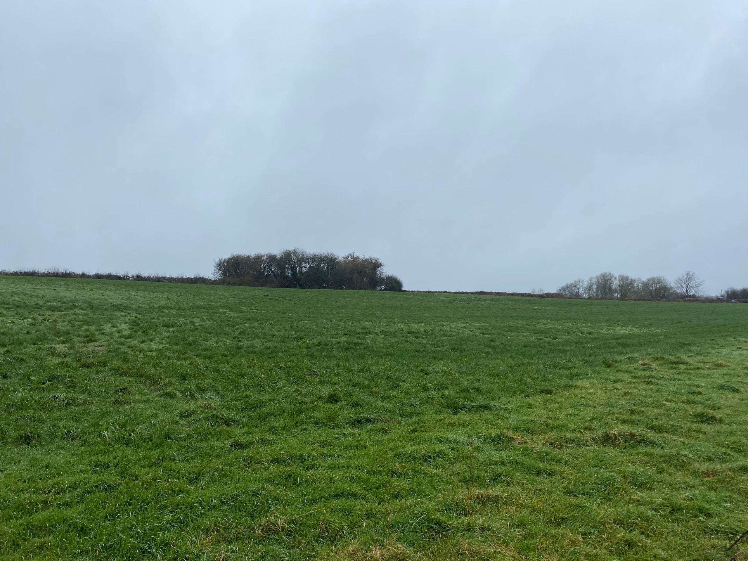 Kildimo land