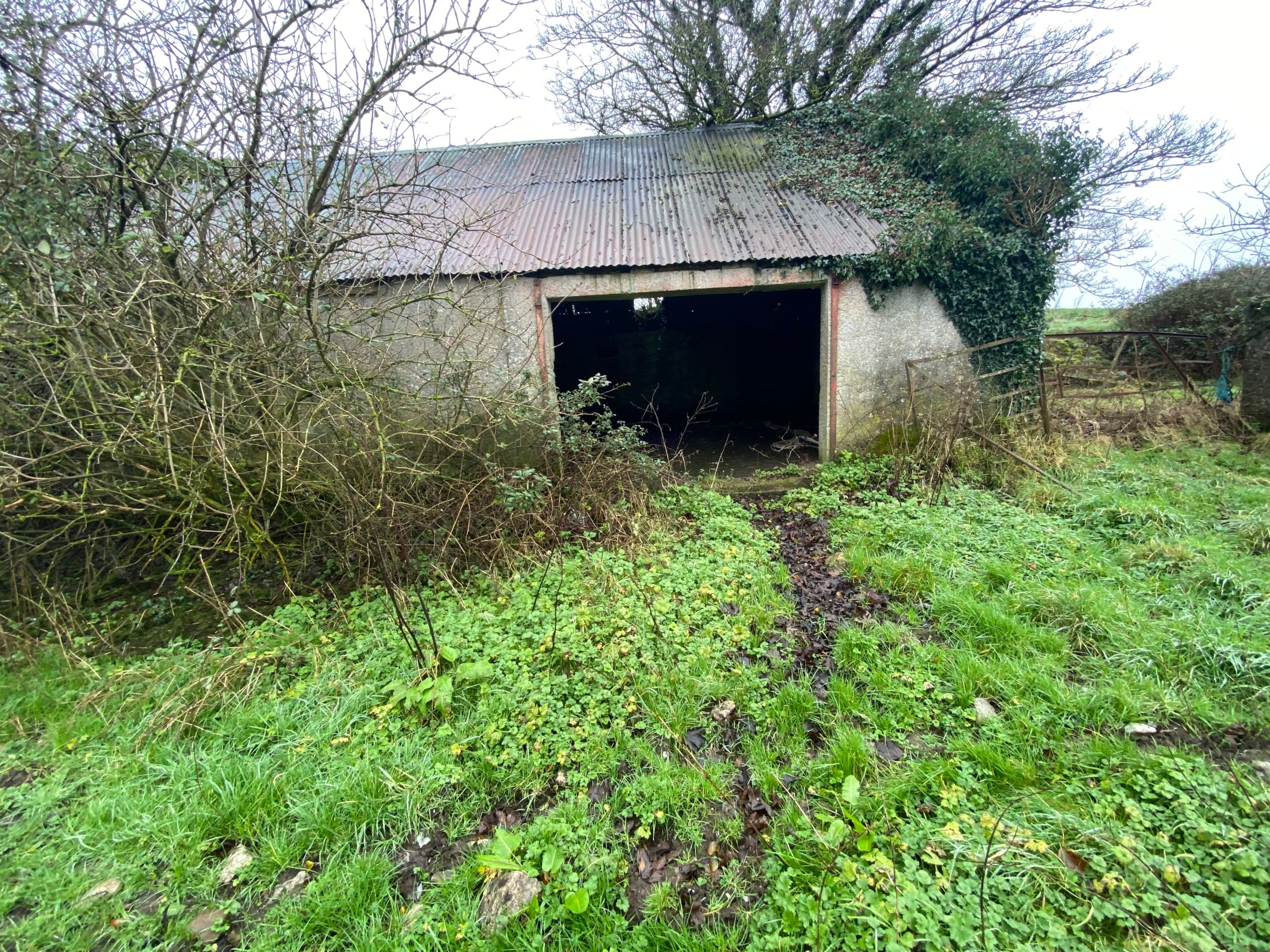 Kildimo farm