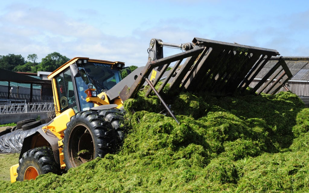 Ireland grows a lot of grass and does it very well