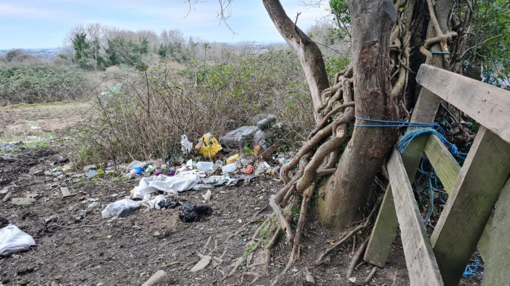 Image source: Bernie Commins