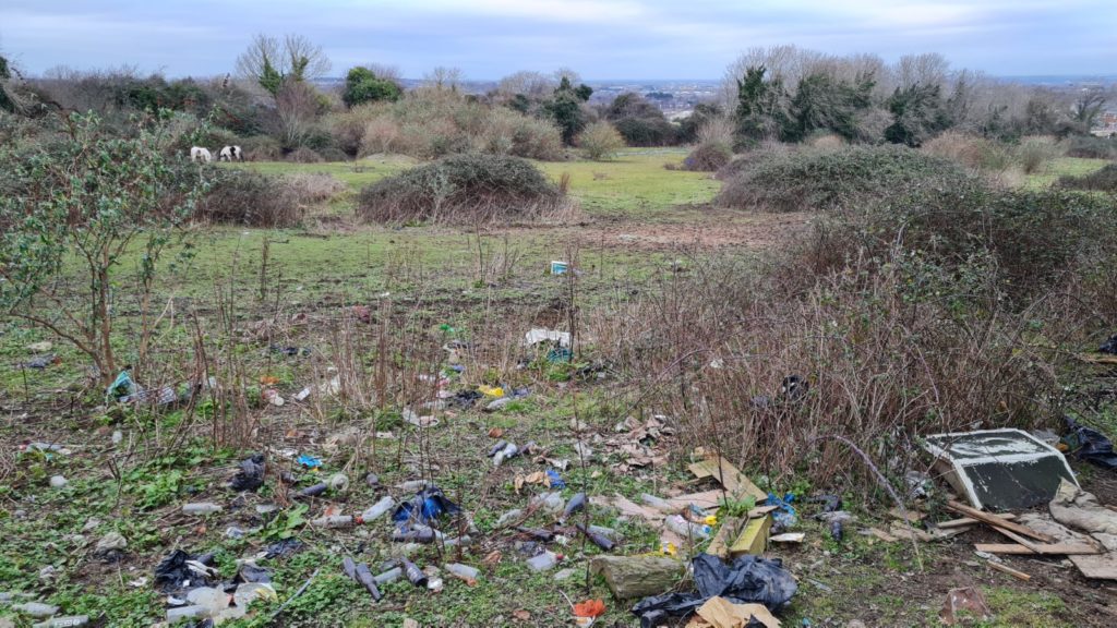 Image source: Bernie Commins