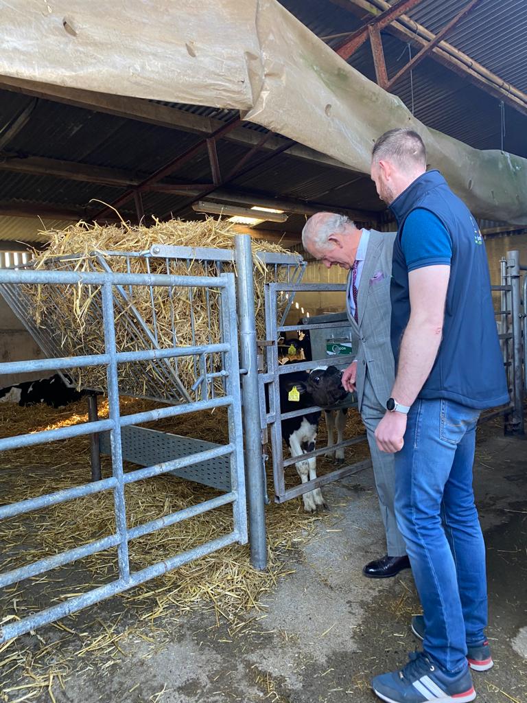 Shane Fitzgerald and Prince Charles take a look at some young calves on Kilmagemogue Farm