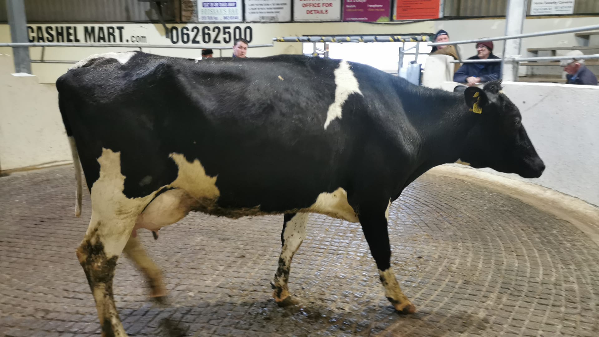 Lot 10: Sold for €2,460